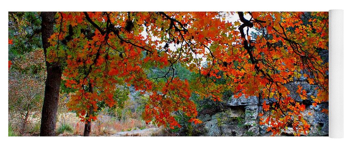 Pond Yoga Mat featuring the photograph Fall at Lost Maples State Natural Area by Michael Tidwell