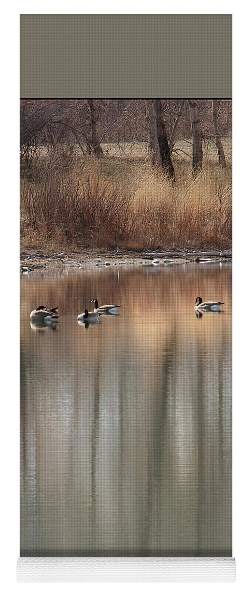 Landscape Yoga Mat featuring the photograph Pond Reflections by Kae Cheatham