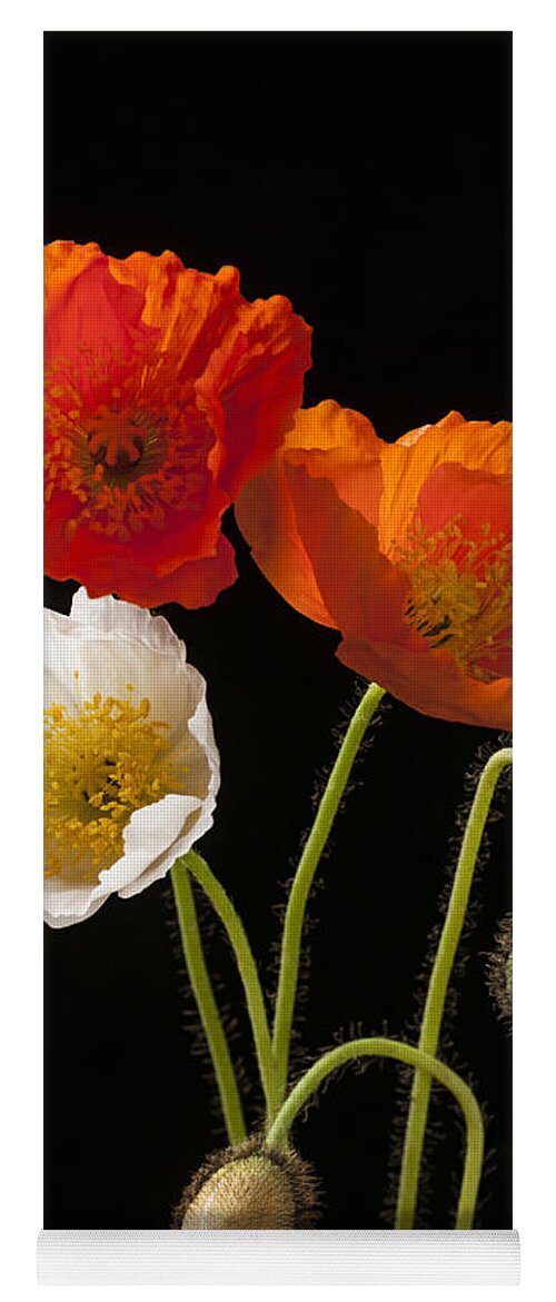 Poppies Yoga Mat featuring the photograph Poppy flowers on black by Elena Elisseeva