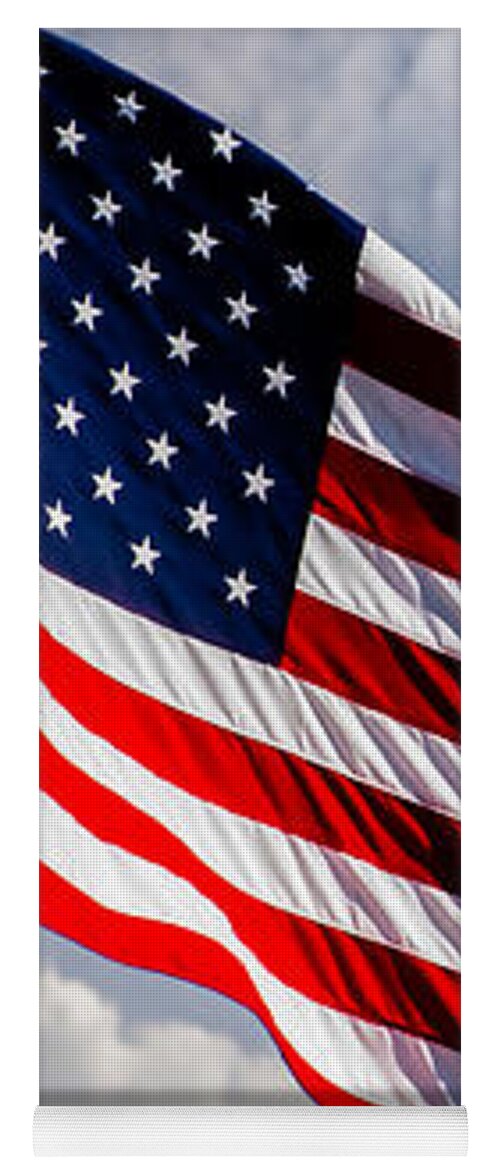 portrait-of-the-united-states-of-america-flag-bob-orsillo.jpg