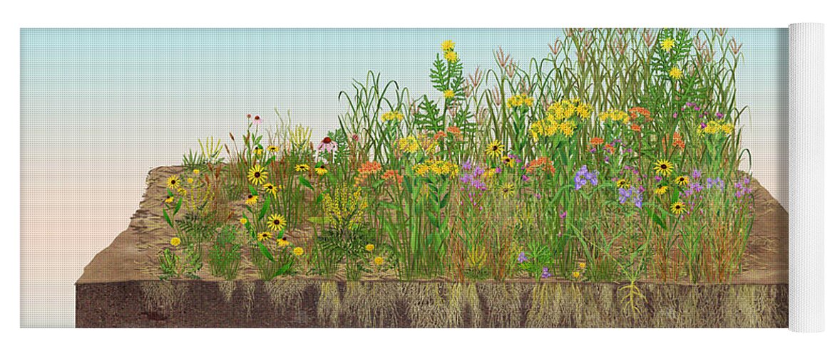Prairie Yoga Mat featuring the photograph Prairie Plants Succession, Illustration by Carlyn Iverson