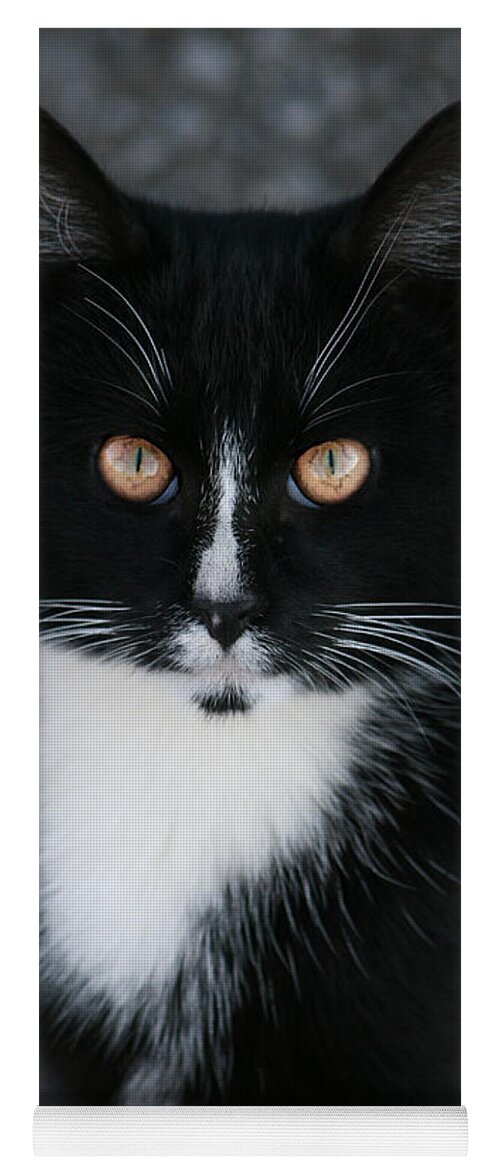 Feral Yoga Mat featuring the photograph Pretty Boy by Kathy Clark