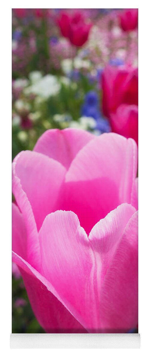 Tulip Yoga Mat featuring the photograph Pretty pink tulip and field with flowers and tulips by Matthias Hauser