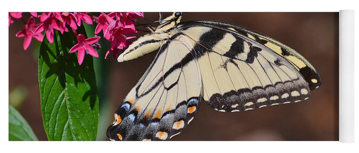 Butterfly Yoga Mat featuring the photograph Pretty Swallowtail On Pentas by Kathy Baccari