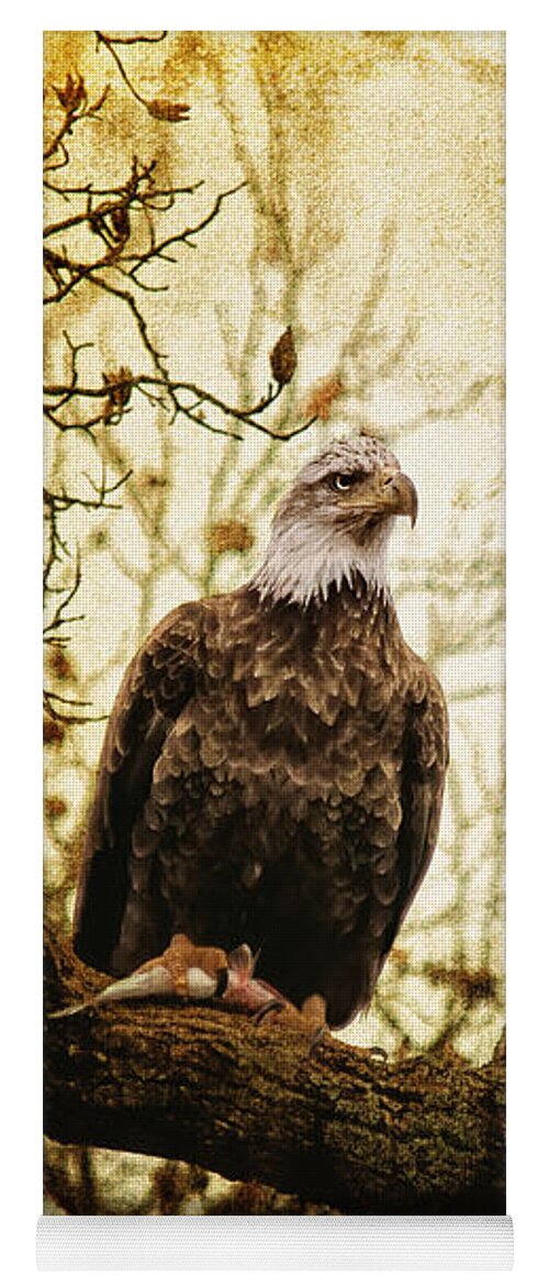 Eagle Yoga Mat featuring the photograph Pride by Lois Bryan