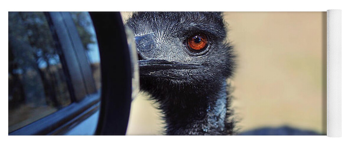 Emu Yoga Mat featuring the photograph Proceed with Caution by Melanie Lankford Photography