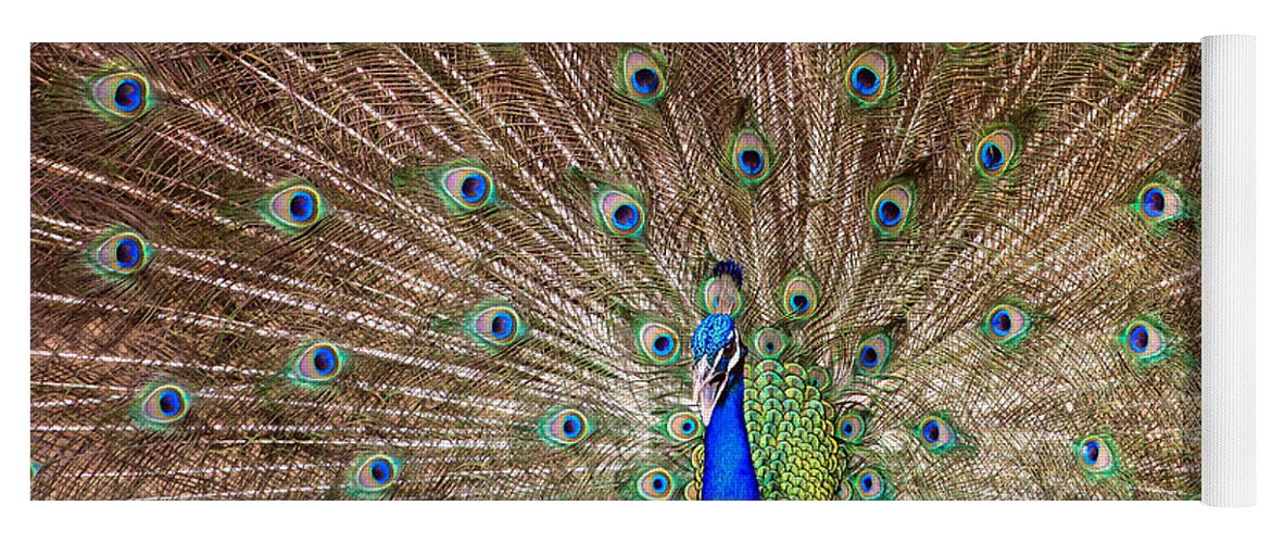 Blues Yoga Mat featuring the photograph Proud Peacock by Geraldine DeBoer