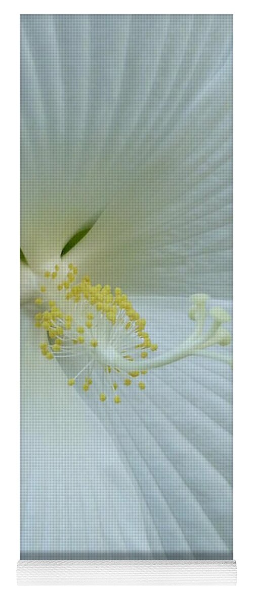 Flower Macro Yoga Mat featuring the photograph Pure and Sensual by Lingfai Leung