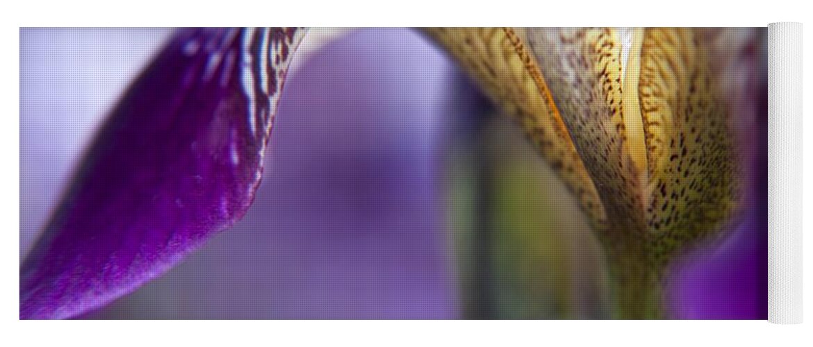 Floral Yoga Mat featuring the photograph Purple Iris 1 by Theresa Tahara