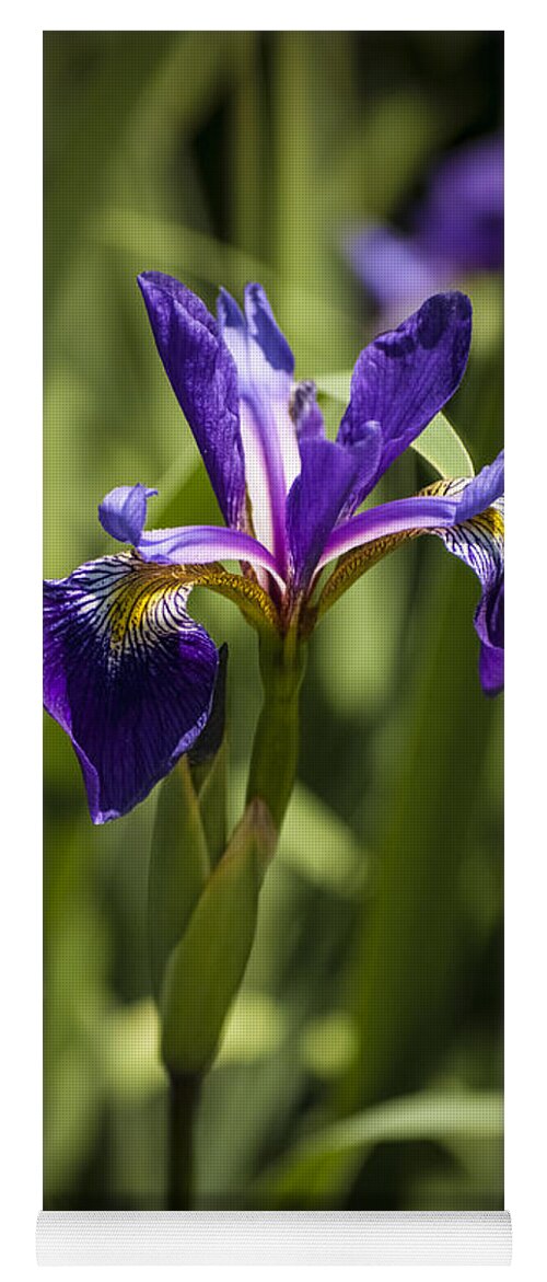 Background Yoga Mat featuring the photograph Purple Iris by Penny Lisowski