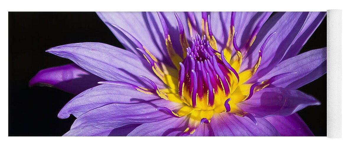 Florida Yoga Mat featuring the photograph Purple Lilly by Sean Allen