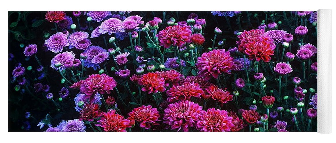 Flowers Yoga Mat featuring the photograph Purple Mood by Rodney Lee Williams