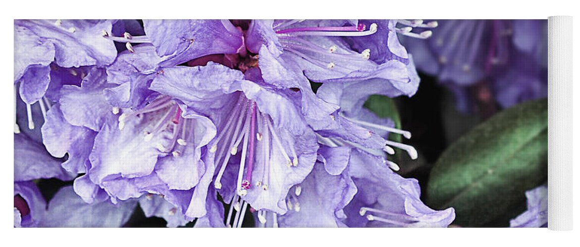 Purple Rhododendron Yoga Mat featuring the photograph Purple Rhododendron by Gwen Gibson