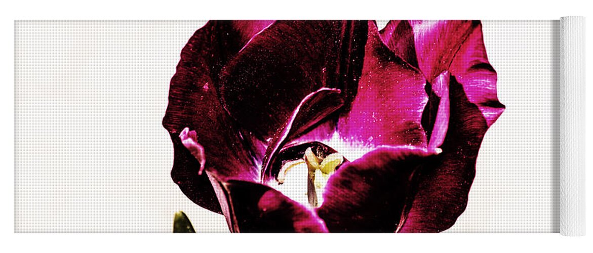 Tulip Yoga Mat featuring the photograph Purple Tulip by Angela DeFrias