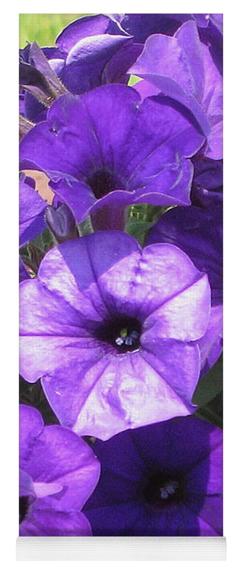 Petunias Yoga Mat featuring the photograph Purple Wave Petunias Close Up by Conni Schaftenaar