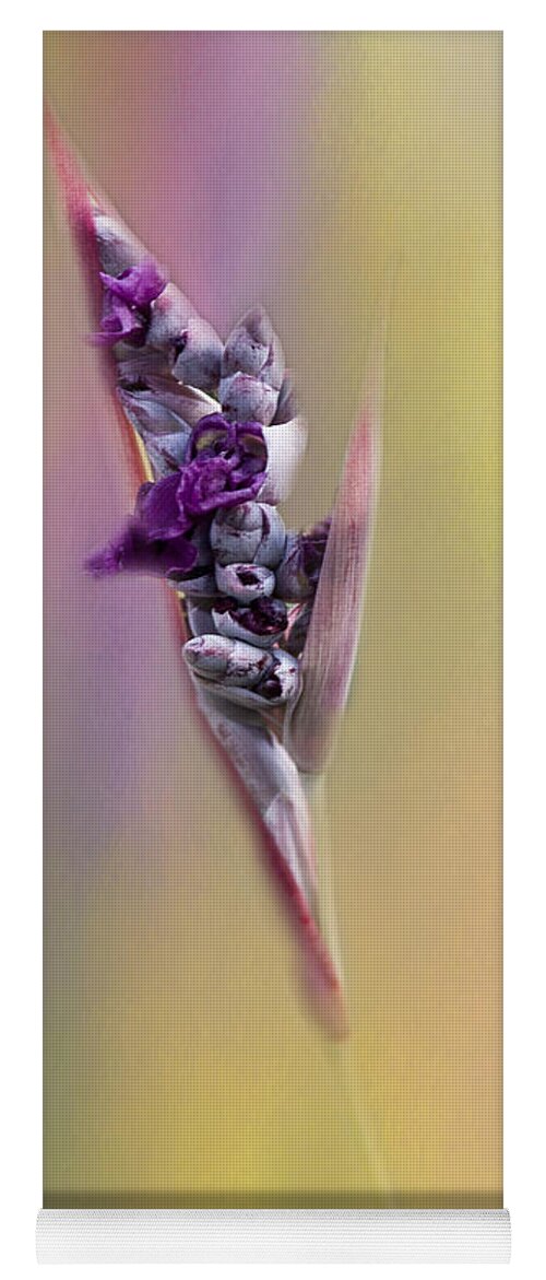 Flower Yoga Mat featuring the photograph Purplicious by Pam Holdsworth