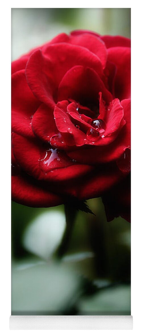 Red Rose Yoga Mat featuring the photograph Quietly My Tears Fall by Michael Eingle