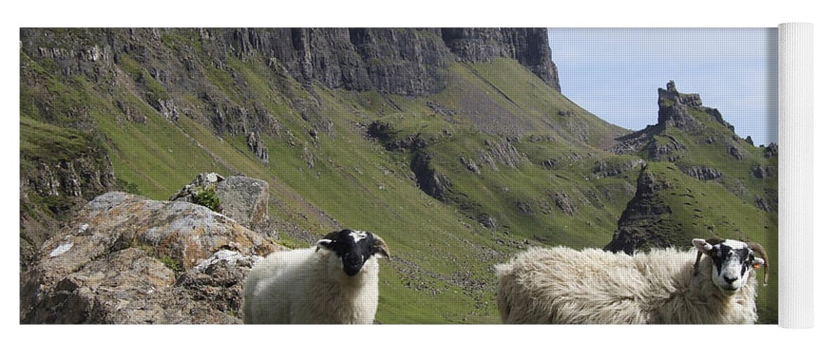 Quiraing Yoga Mat featuring the photograph Blackface Sheep - Quiraing - Isle of Skye by Phil Banks