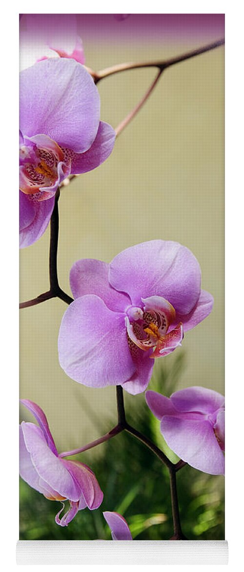 Orchid Yoga Mat featuring the photograph Radiant Orchid Cascade by Andee Design