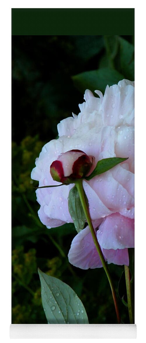 Peony Yoga Mat featuring the photograph Rain-soaked Peonies by Rona Black