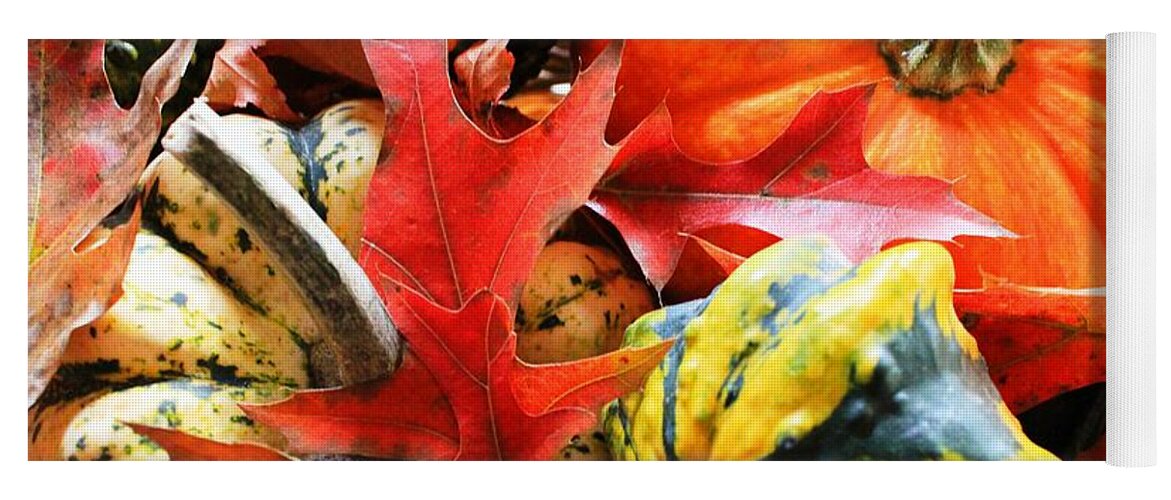 Pumpkin Yoga Mat featuring the photograph Rainbow Of Autumn Colors by Judy Palkimas