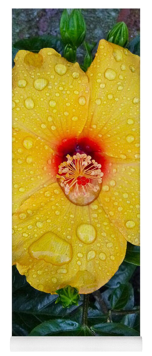 Flower Yoga Mat featuring the photograph Raindrops by Ellen Paull