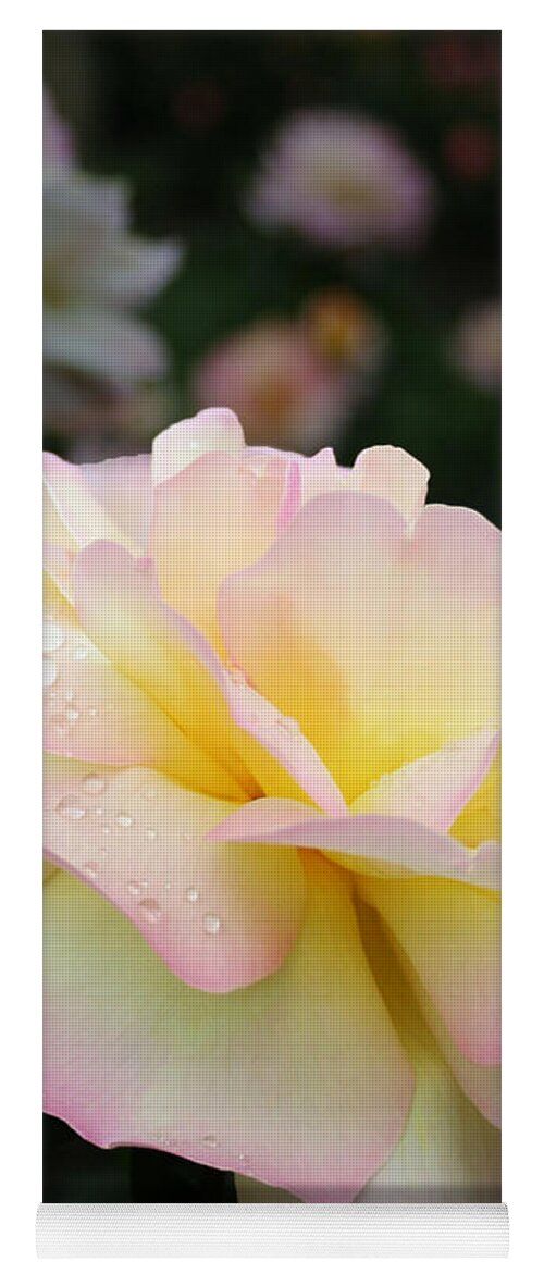Flower Yoga Mat featuring the photograph Raindrops on Rose Petals by Barbara McMahon