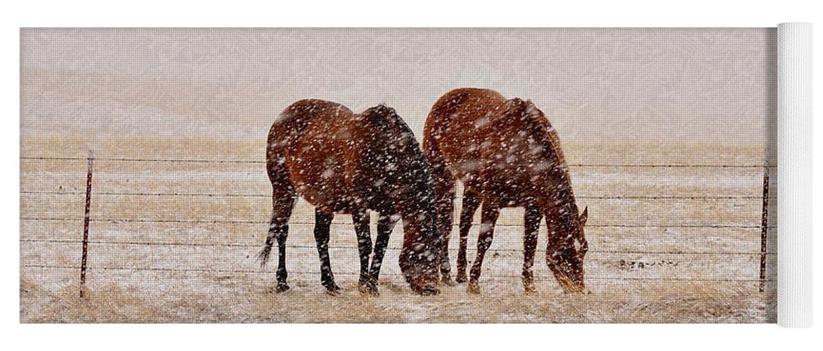 Brown Horses Yoga Mat featuring the photograph Ranch Horses in Snow by Kae Cheatham