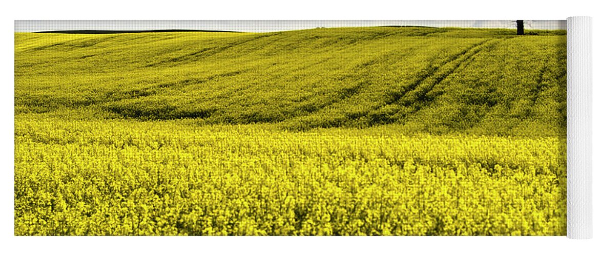 Heiko Yoga Mat featuring the photograph Rape landscape with lonely tree by Heiko Koehrer-Wagner