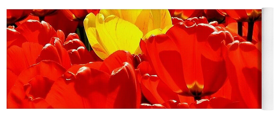 Tulips Yoga Mat featuring the photograph Rebel Yellow by Benjamin Yeager