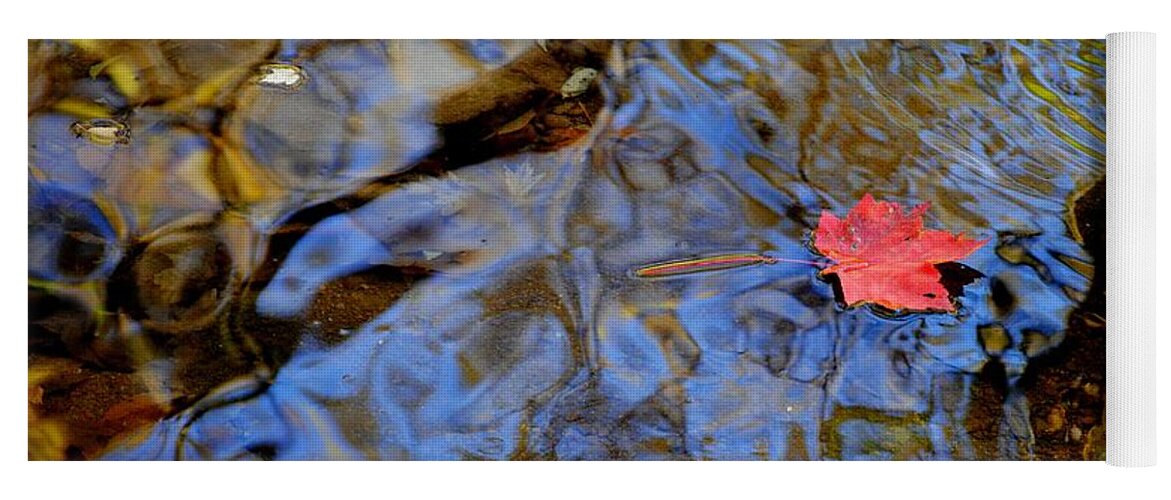 Red Yoga Mat featuring the photograph Red Blue and Gold by Frozen in Time Fine Art Photography