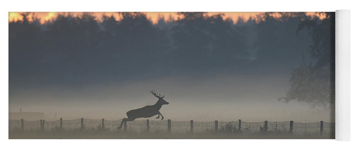 Ton Schenk Yoga Mat featuring the photograph Red Deer Stag Jumping Fence by Ton Schenk