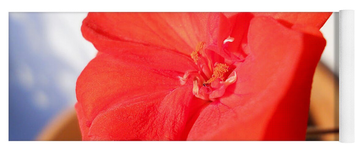 Red Flower Yoga Mat featuring the photograph Red Geranium by Ramona Matei