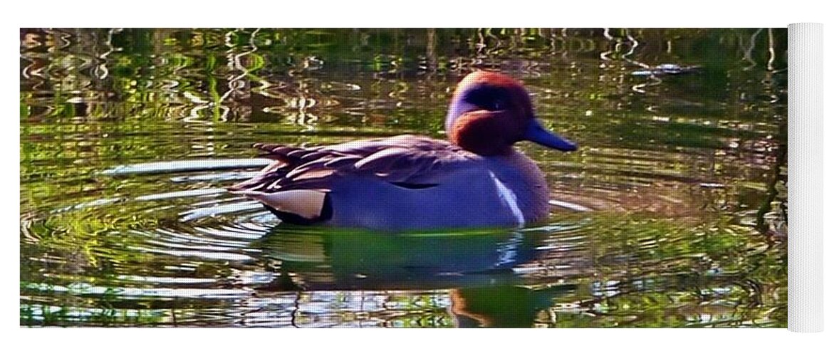 Bird Yoga Mat featuring the photograph Red Headed Duck by Susan Garren
