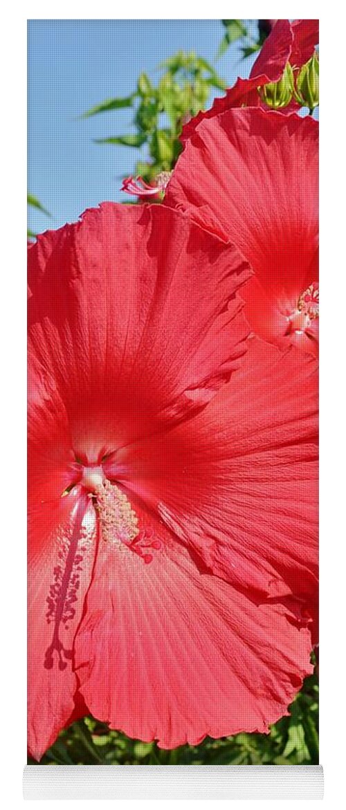 Hibiscus Yoga Mat featuring the photograph Red Hibiscus by Kim Bemis
