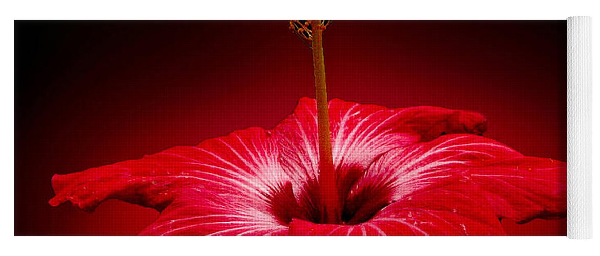 Tropical Flower Yoga Mat featuring the photograph Red Hibiscus Tropical Flower Wall Art by Carol F Austin