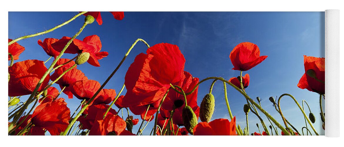Feb0514 Yoga Mat featuring the photograph Red Poppies Germany by Duncan Usher