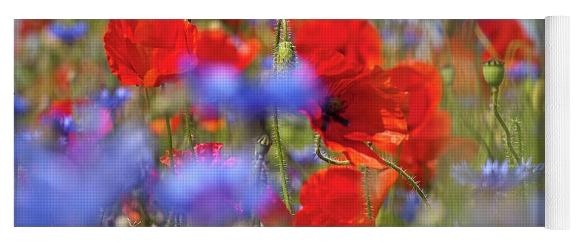 Poppy Yoga Mat featuring the photograph Red Poppies in the Maedow by Heiko Koehrer-Wagner