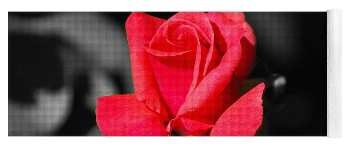 Red Yoga Mat featuring the photograph Red Red Rose - SC by Mary Carol Story