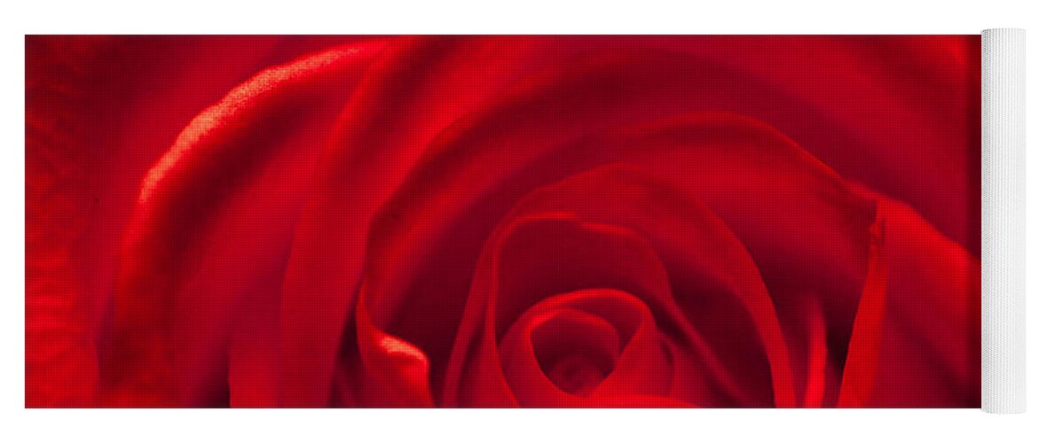 Love Yoga Mat featuring the photograph Red rose by Amanda Mohler
