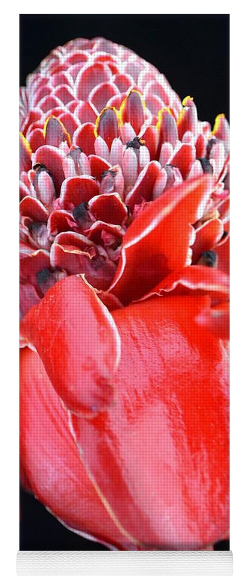 Flowers Yoga Mat featuring the photograph Red Torch Ginger on Black by Mary Deal