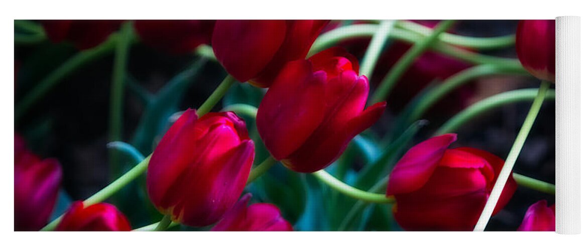 Red Yoga Mat featuring the photograph Red Tulip River by Doug Sturgess