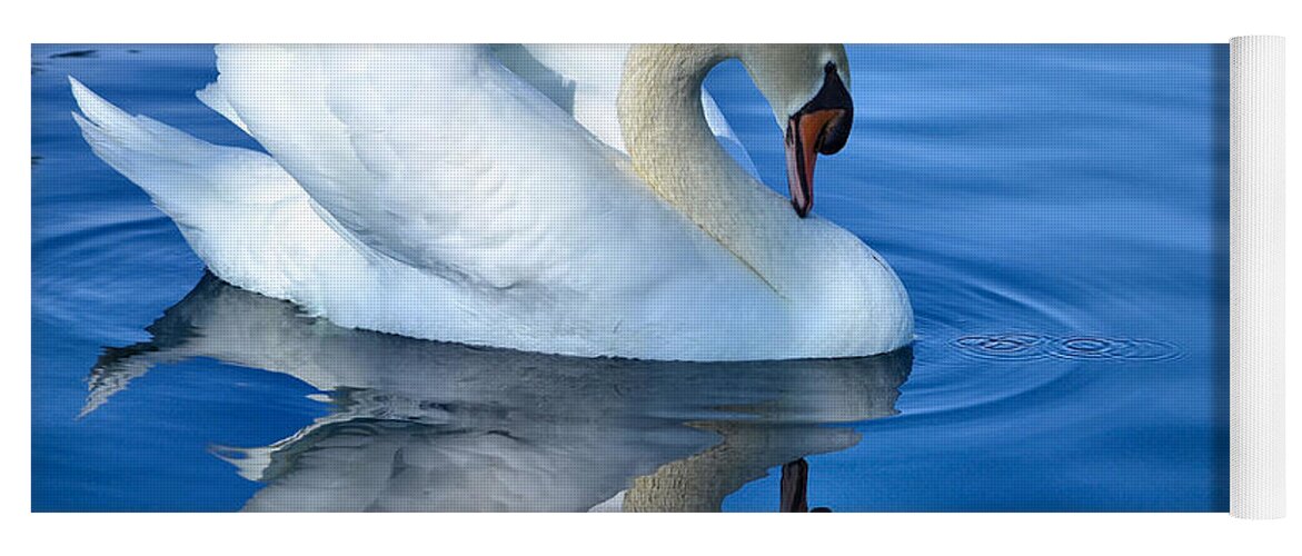 White Swan Yoga Mat featuring the photograph Reflecting by Deb Halloran
