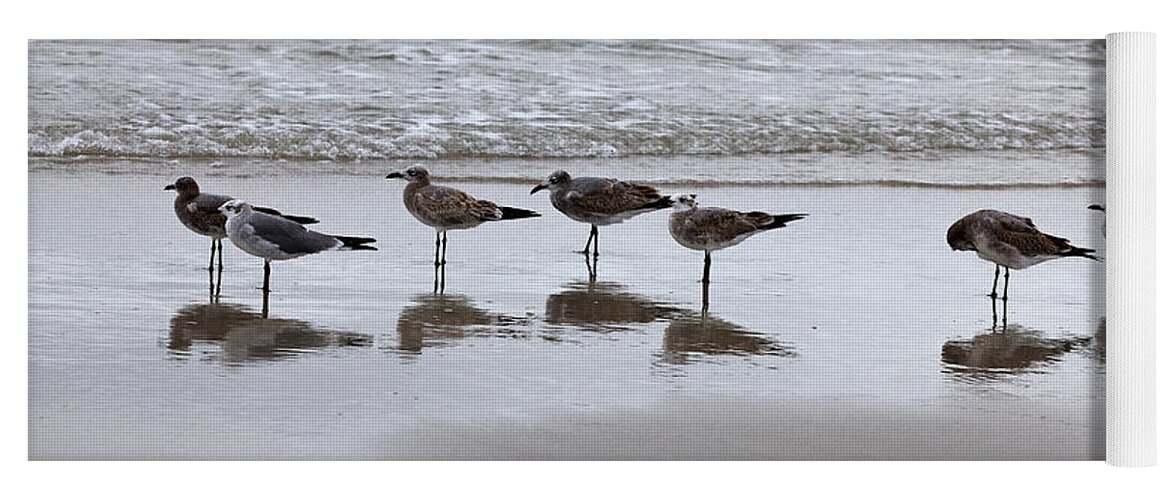 Seagulls Yoga Mat featuring the photograph Reflection at the beach by Steve Gravano