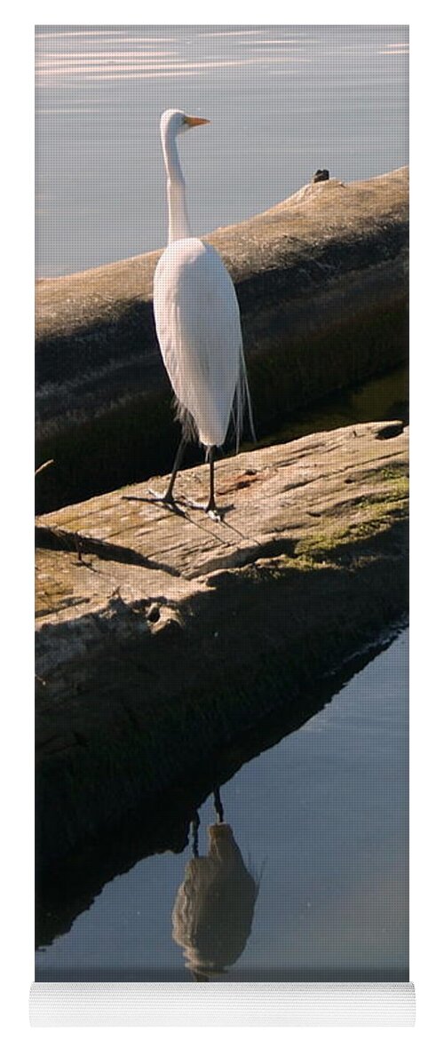 Egret Yoga Mat featuring the photograph Reflections of an Egret by Beth Collins