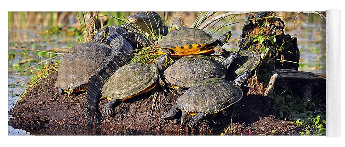 Turtle Yoga Mat featuring the photograph Reptile Refuge by Al Powell Photography USA