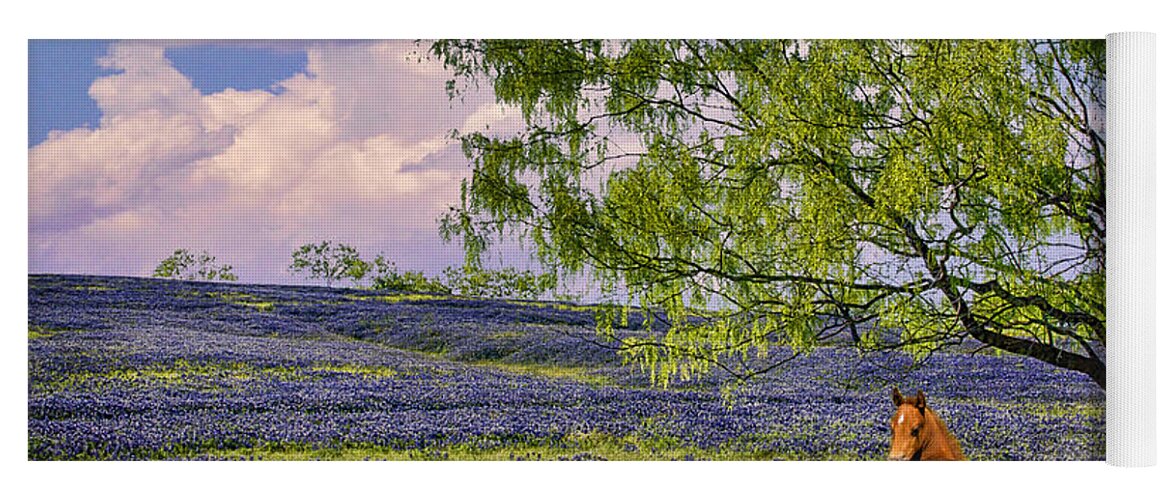 Bluebonnets Yoga Mat featuring the photograph Resting Among the Bluebonnets by Priscilla Burgers
