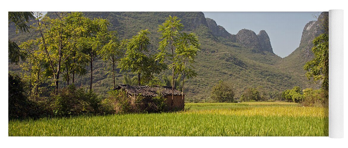 Agriculture Yoga Mat featuring the photograph Rice Farm by David Davis