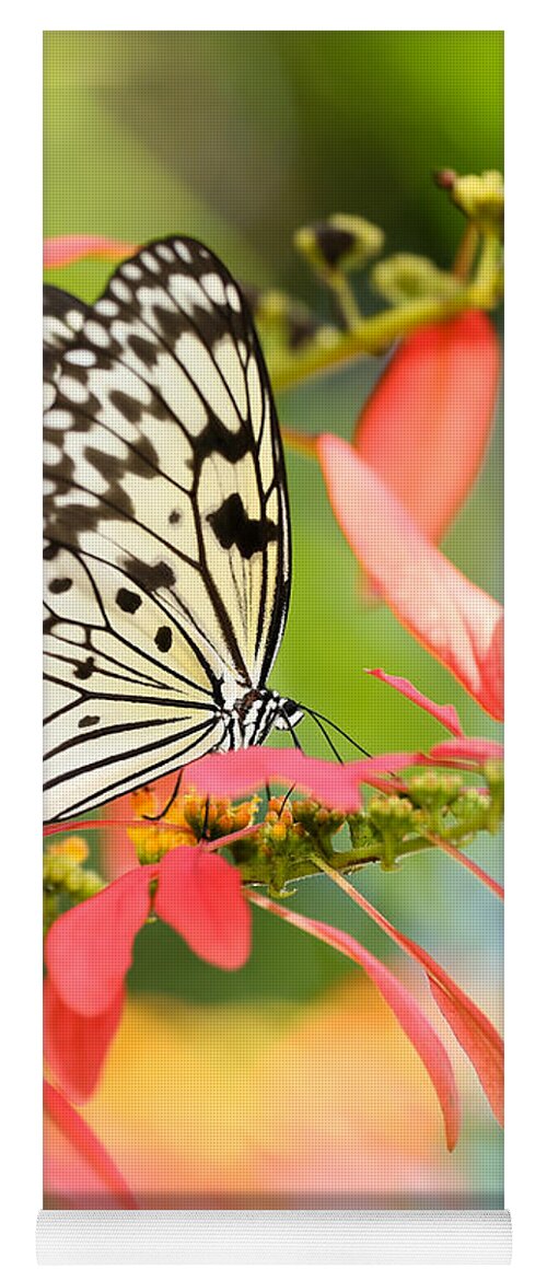 Macro Yoga Mat featuring the photograph Rice Paper Butterfly in the Garden by Sabrina L Ryan