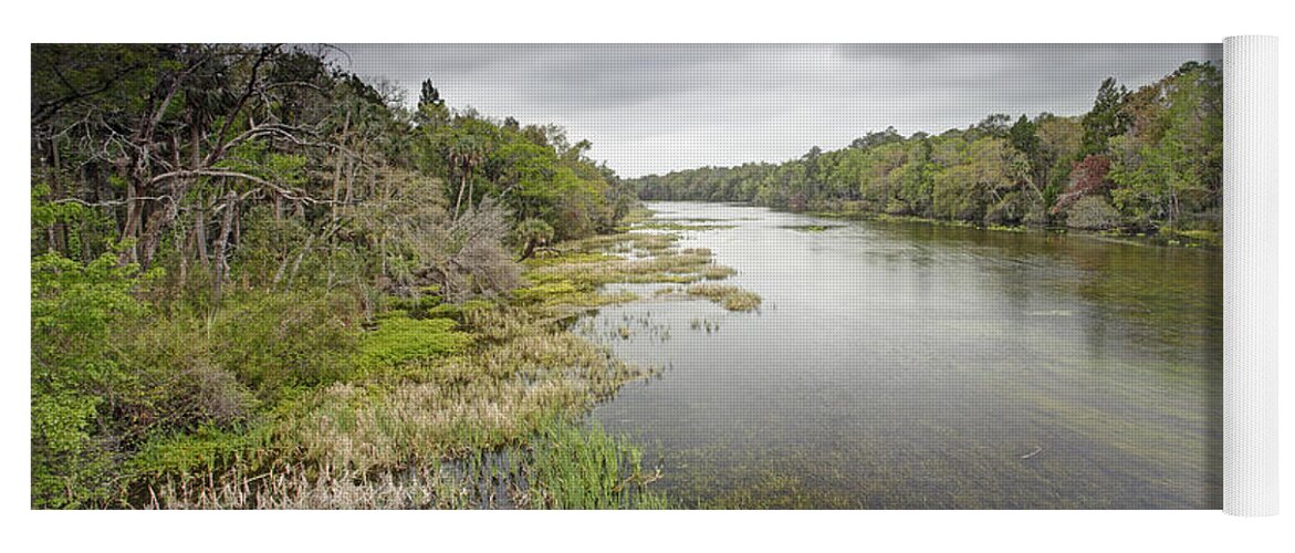 Feb0514 Yoga Mat featuring the photograph River In Ocala National Forest Florida by Scott Leslie